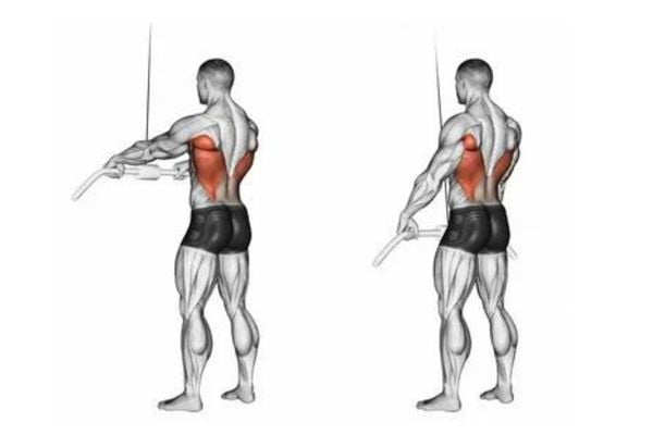 How to Perform Lat Pushdown for a V-Shaped Back